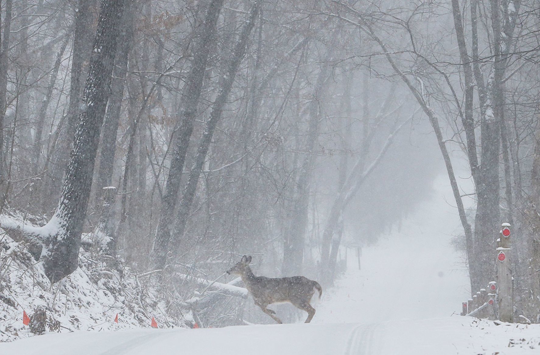 Snow blankets St. Louis area on Sunday morning